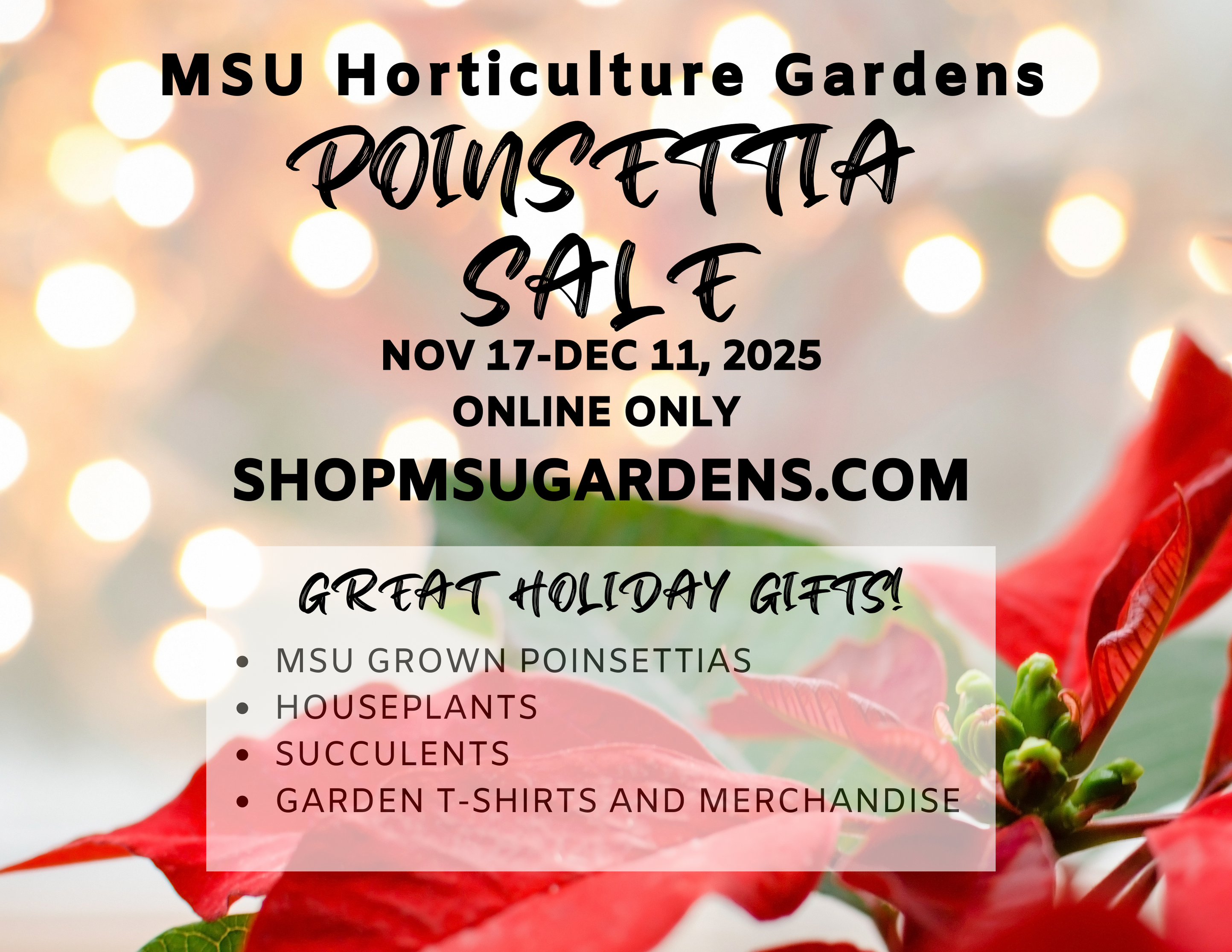 2025 MSU GROWN POINSETTIAS POSTCARD.png